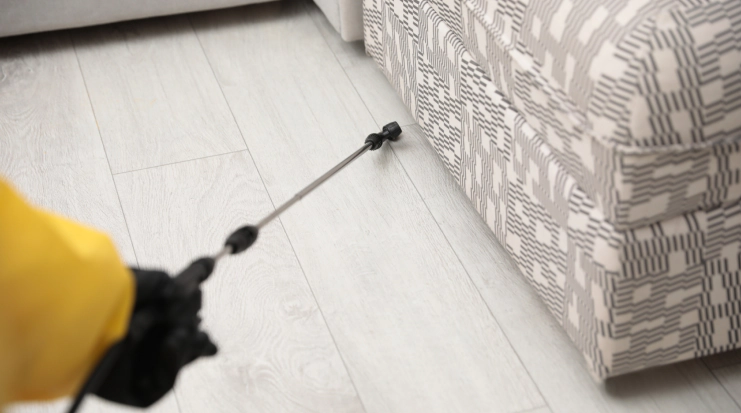 Indoor Pest Control Services