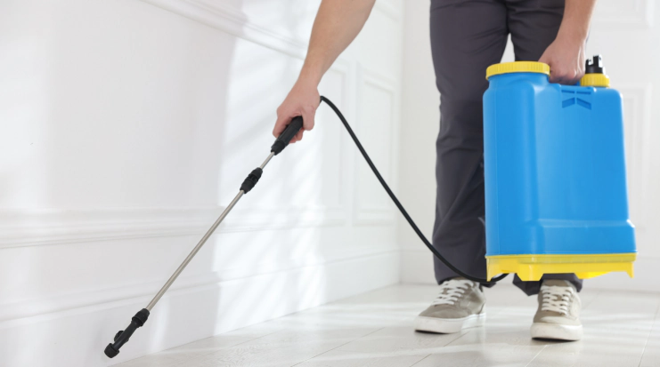 Rodent Control Services