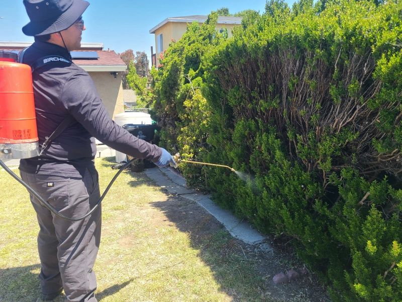 pest control oceanside ca