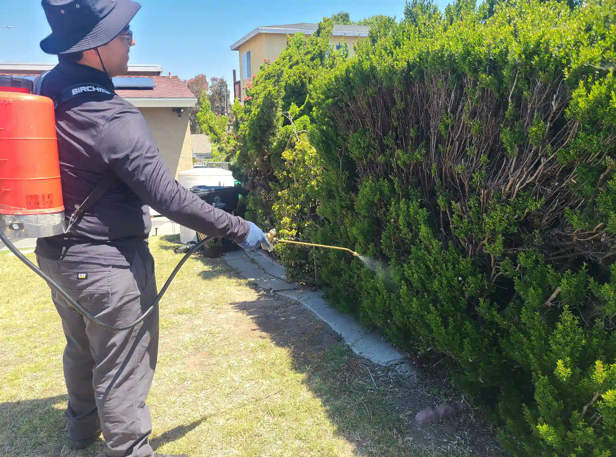 7 Costly Pest Control Mistakes Homeowners Make and How to Avoid Them